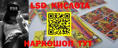 прущие грибы Можга