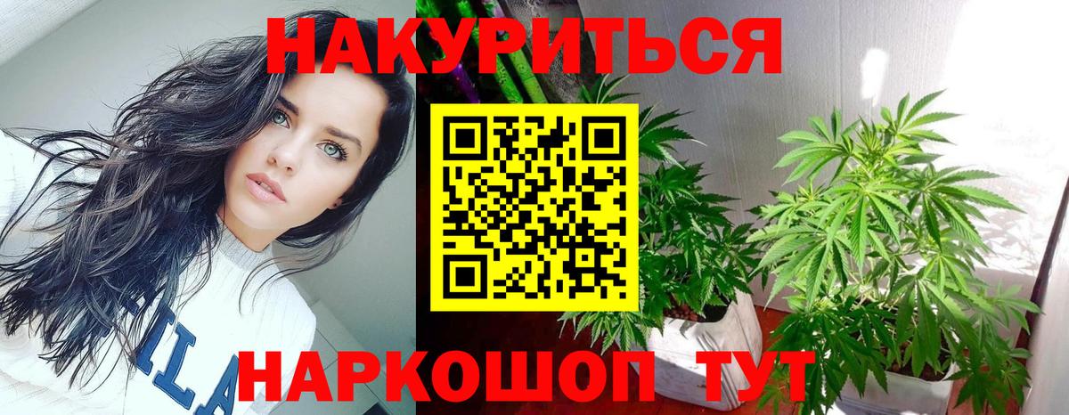 Шишки марихуана марихуана  Вход с VPN  Марихуана марихуана  Чебаркуль 